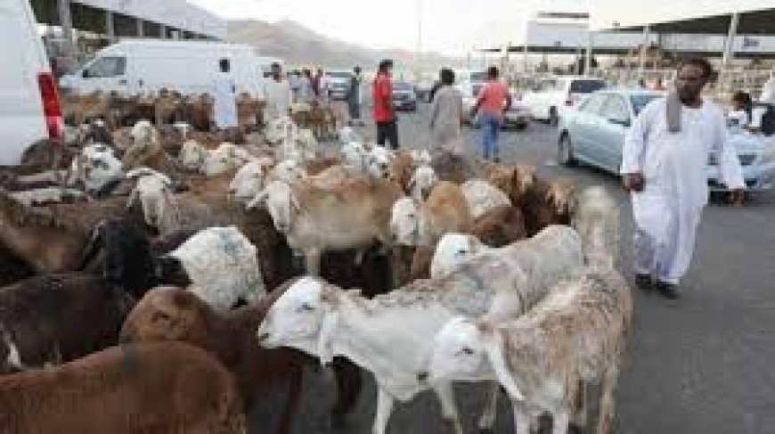 Israel not allowing Gazans to perform Qurbani